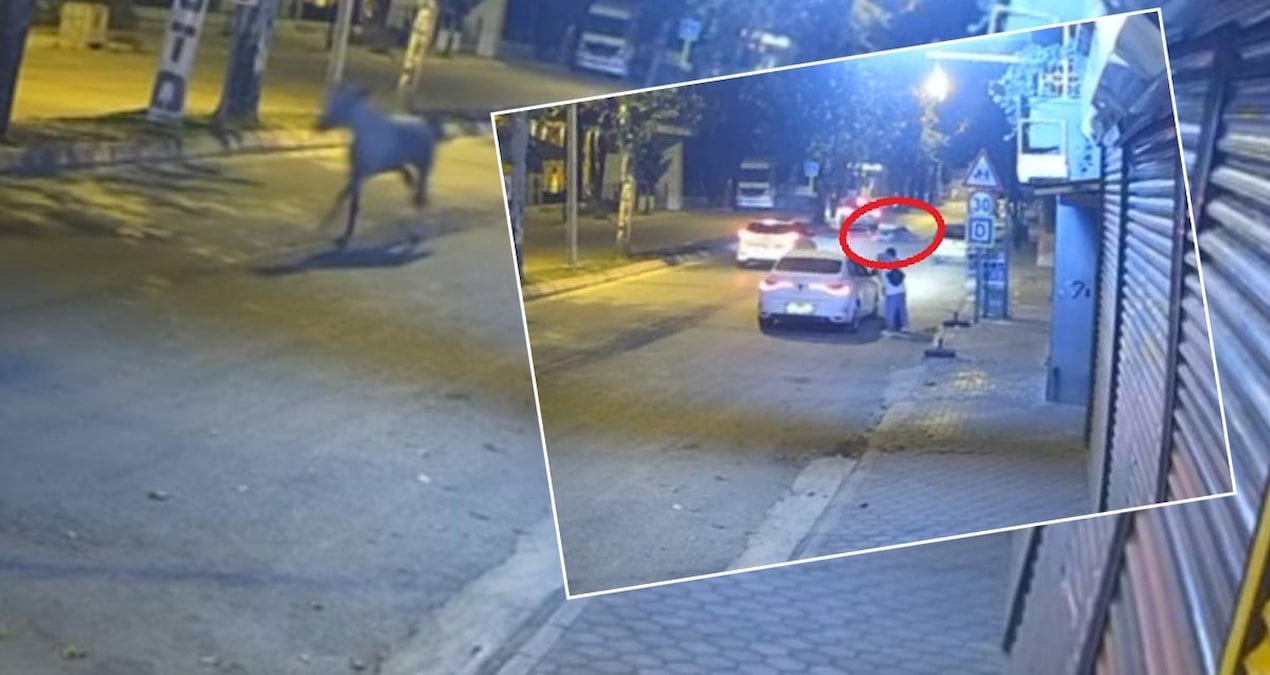 adanada bir garip kaza at karsidan gelen araca carpti 9tDwvwzP