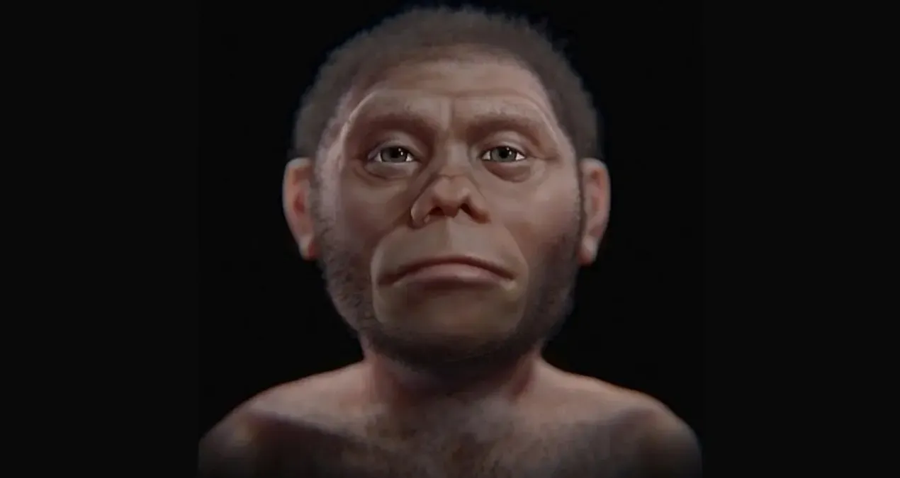 bilim insanlari hobbitlerin neden bu kadar kucuk oldugunu acikladi GEqH1JV8