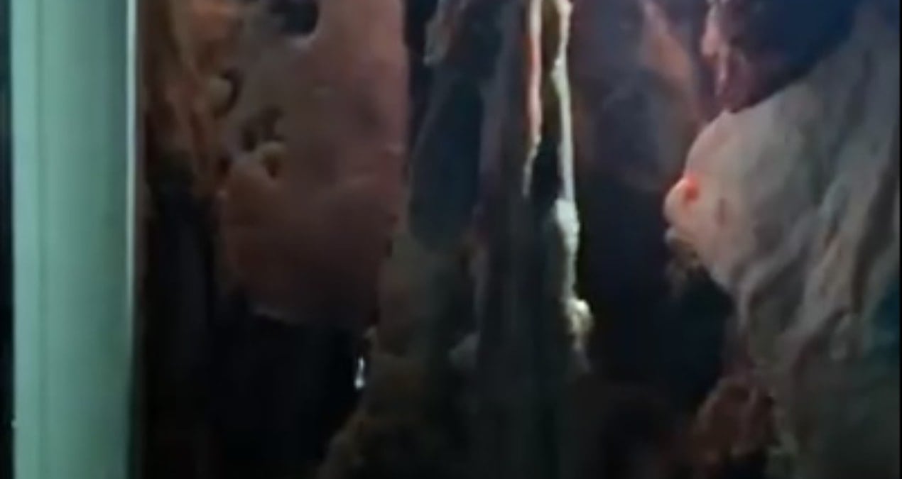 bir sehrin konustugu skandal yakalanmasa aksam sofralarimiza gelecekti 6rwXB1C1