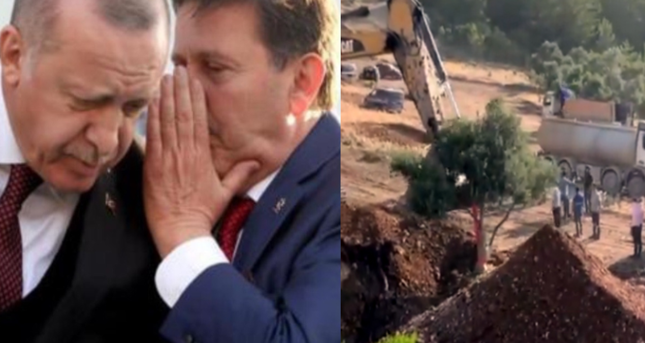 limak zeytin katliaminda akp li is insani ile birlikte 3xu1Mfi8