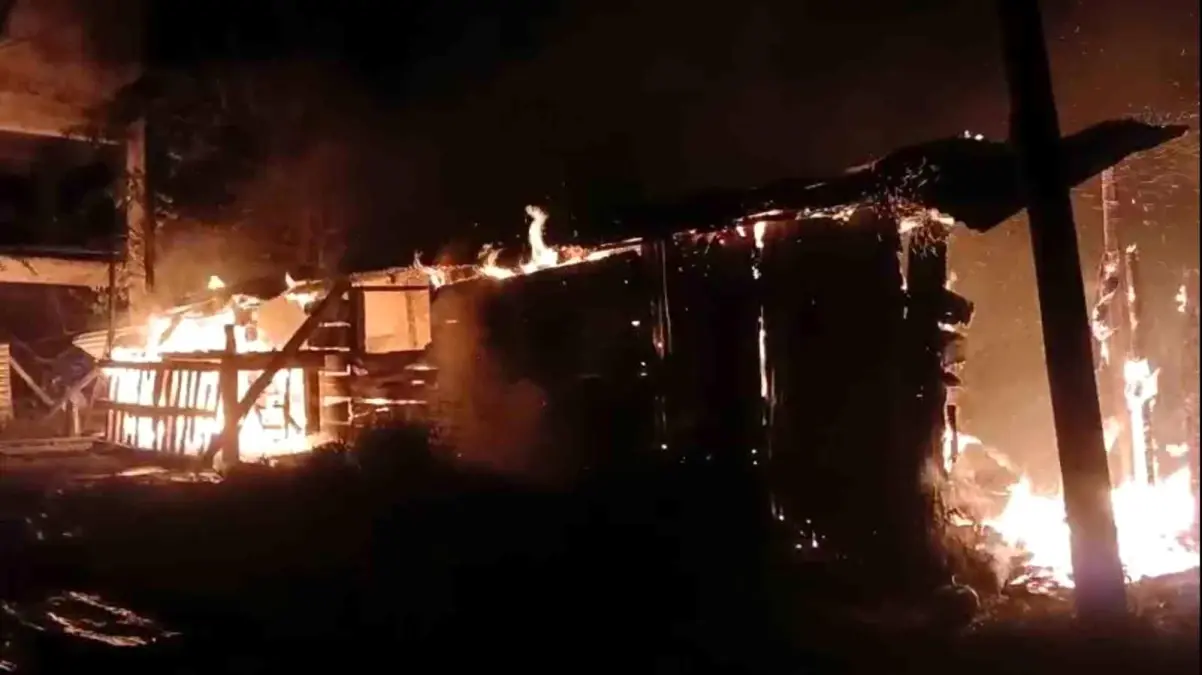 tireboluda yangin bir ton findik yandi b9hR7dTI