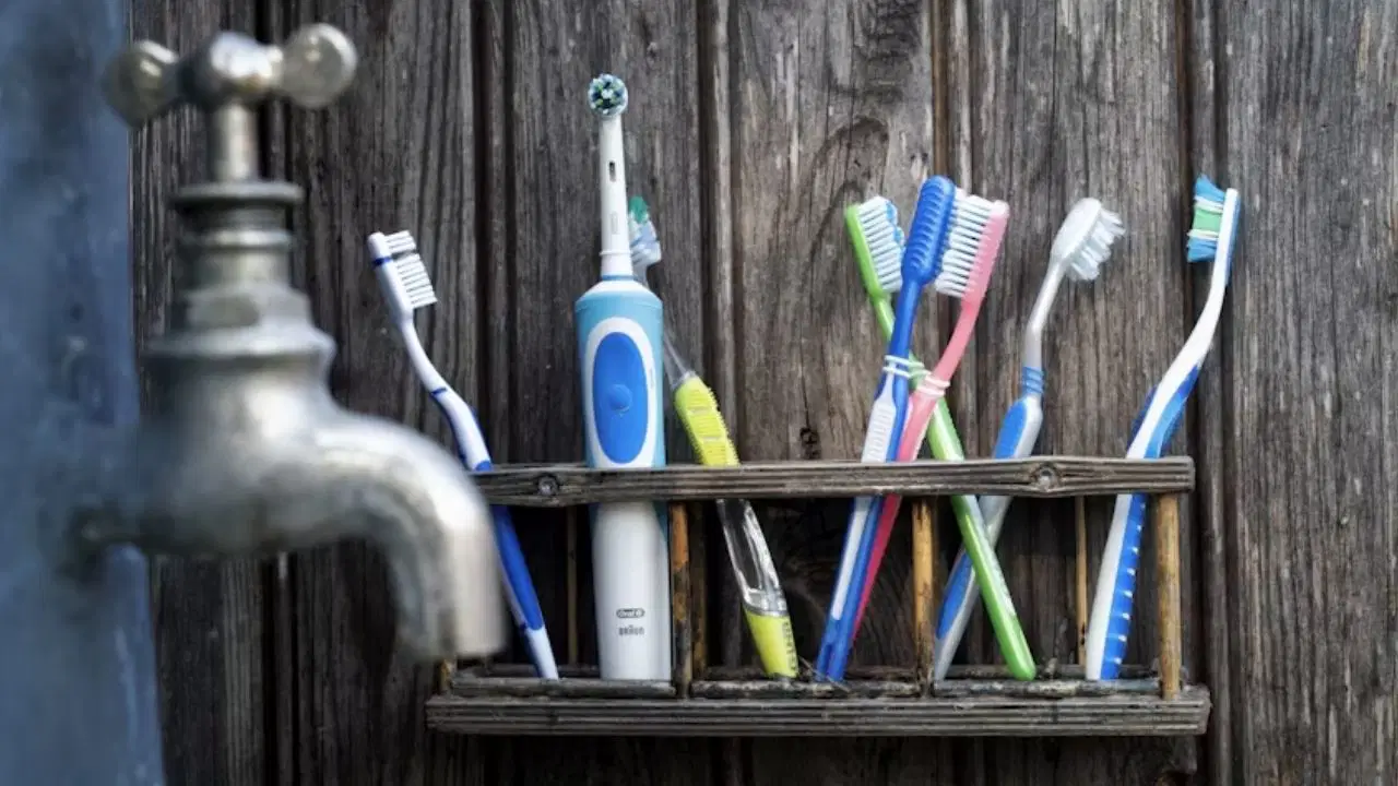 dis fircaniz bakteri yuvasi ne siklikla degistirmelisiniz banyoda nereye koymalisiniz VEKkakAx.jpg