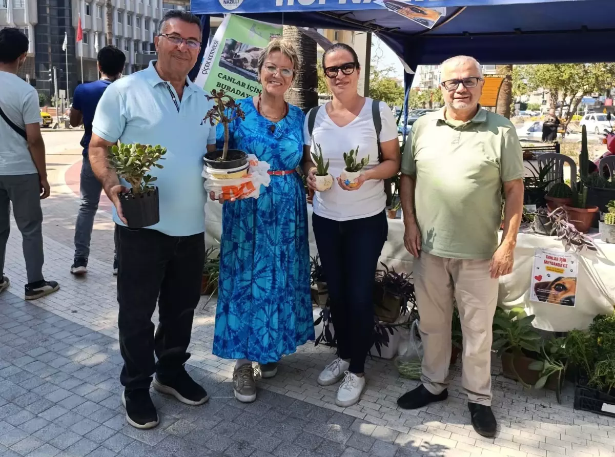 emekli ogretmenin sokak hayvanlarina destek kermesi vy3SOTEq