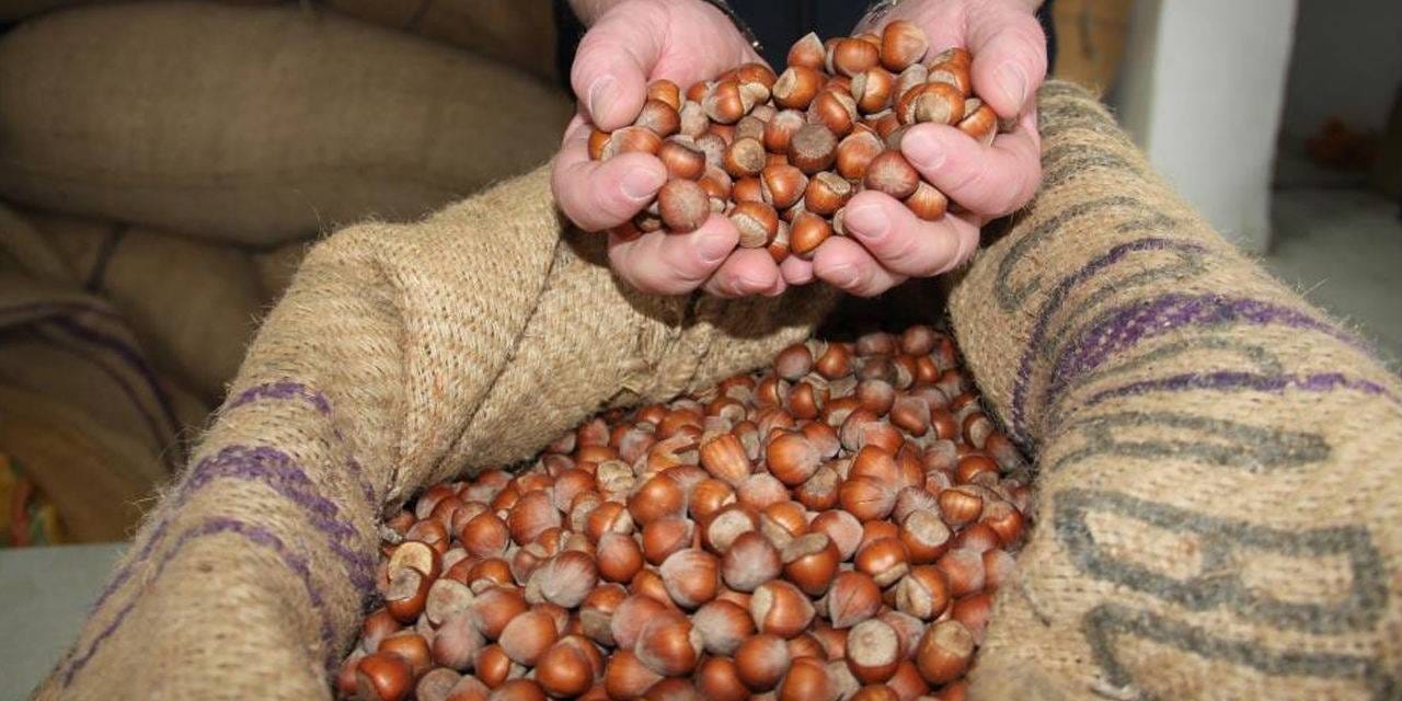 findiktan 1 milyar 610 milyon 163 bin gelir UZziASMF.jpg