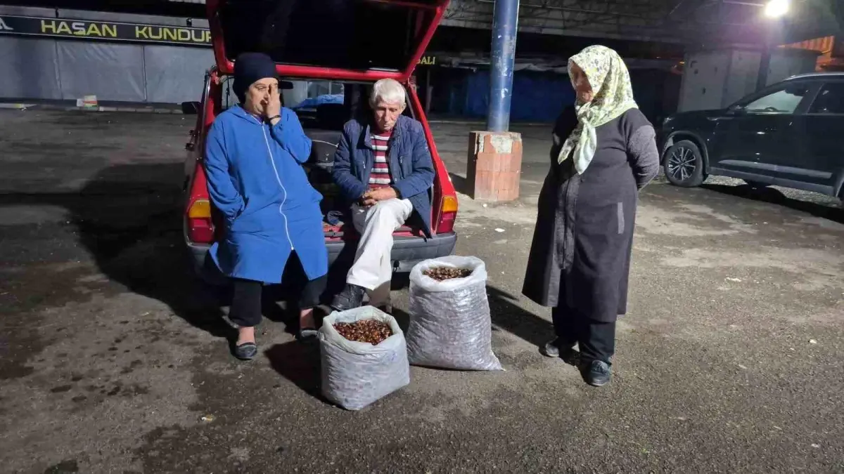 kuraklik kestane rekoltesini vurdu fiyatlar yukseliyor 5ad7z4LN.jpg