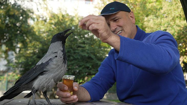 evlat gibi sevdi otobus kaptaninin 25 yildir ayrilmadigi kargasi sakir rize helvasi ve caya bayiliyor ENOD6jTN.jpg