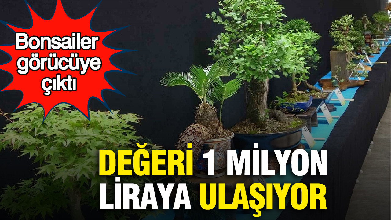 bonsailer-gorucuye-cikti-degeri-1-milyon-liraya-ulasiyor-7iHNK1Eq