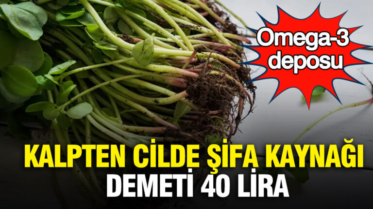 omega-3-deposu-kalpten-cilde-sifa-kaynagi-pazarda-demeti-40-lira-TAZMcrxN