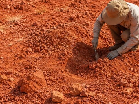 Kurak bir tarım arazisinin altında bulundu: 16 milyon yıl sonra bile gözlerindeki izler duruyor